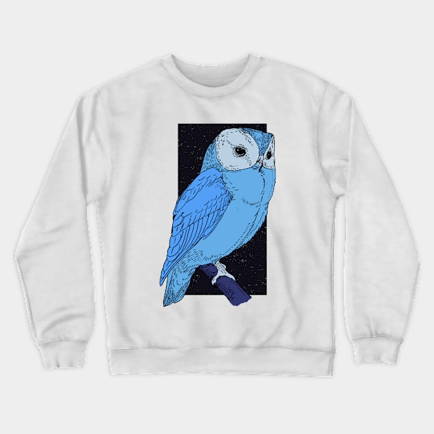 Night Owl Crewneck Sweatshirt by fernandaschallen